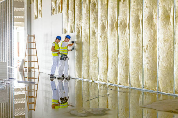 Best Insulation for New Construction  in Olympia Fields, IL